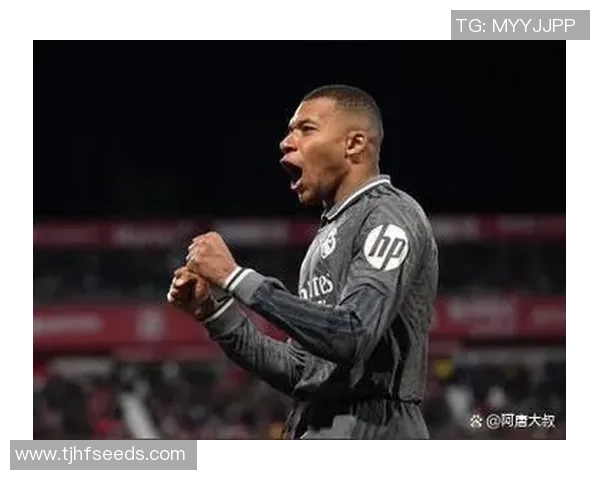 西甲精彩对决皇马逆转拜仁引爆全场战术解析