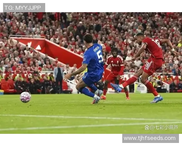 西甲激战利物浦逆转切尔西绝杀时刻全场沸腾战术分析揭秘