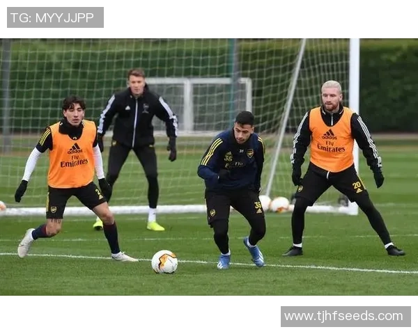 欧联杯精彩对决阿森纳大胜里昂逆转全场气氛热烈